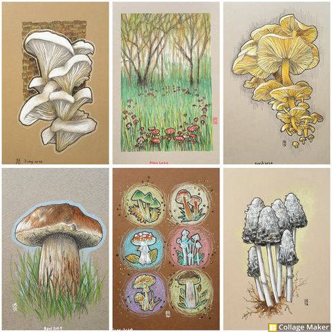 A photo collage of some of my mushroom art:
White oyster mushrooms, a landscape with a fairy ring, a cluster of yellow mushrooms, a penny bun, 6 little mushroom portraits and shaggy inkcaps.