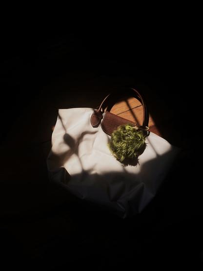 An image of a keychain version of Count Underoo McGoo on a medium-sized Longchamp Le Pliage bag on a sharply lit wooden floor.