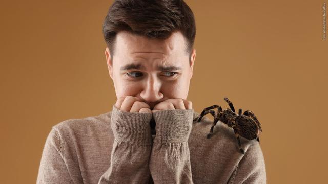 Eine Spinne sitzt auf der Schulter eines Mannes. Er fürchtet sich. Warum haben wir Angst vor Spinnen? (Foto: Adobe Stock, New Africa)