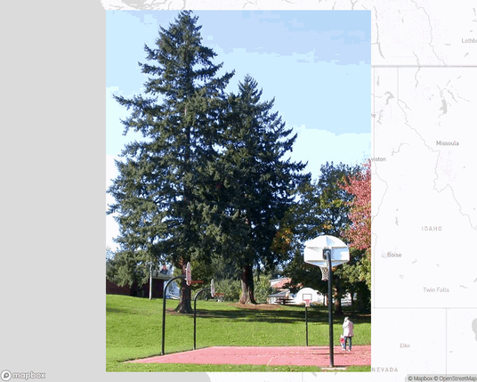 A photo of or from a park from the linked website, overlaid on a cropped world map where it's located.