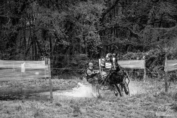 Photo monochrome en noir et blanc, présentant la sortie du gué au cours de l'épreuve de marathon d'un concours d'attelage. Dans le cas présent, il s'agit d'un attelage « solo »,  un seul cheval est attelé à une voiture avec une meneuse et une équipière / groom qui encouragent de la voix le cheval. La meneuse regarde déjà sur la droite alors que l'équipière se penche en dehors de la voiture pour faciliter le virage pour suivre le tracé du parcours. L'arrière-plan est constitué des arbres d'une forêt.