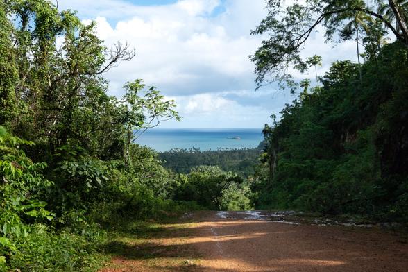 A lush, green landscape descends towards a calm sea, with a small island visible in the distance. The scene is framed by trees and vegetation under a partly cloudy sky. A dirt path leads into the view.