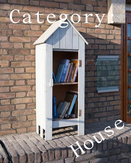 Image of a house shaped street library