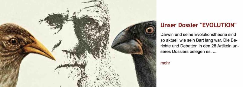 Zeichnung des bekannten Darwin-Porträts, flankiert von den Profilen zweier fotografierter Vogelköpfe mit sehr unterschiedlichen Schnabelformen. Rechts daneben Überschrift "Unser Dossier 'EVOLUTION'" des im Post verlinkten Dossiers, gefolgt von dessen Vorspann.