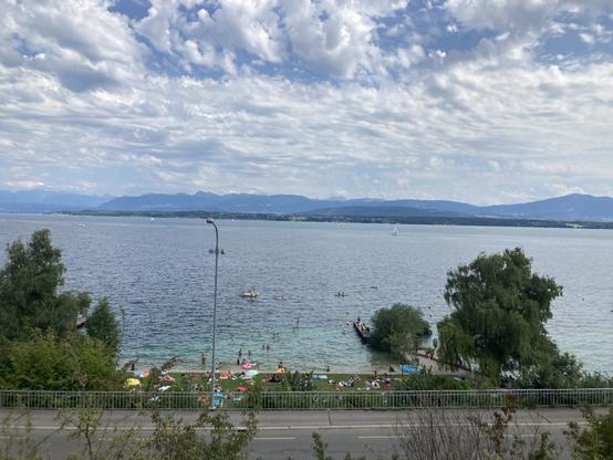 The Marine Iguanas at Nyon Plage