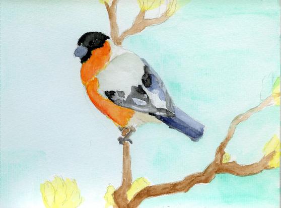 bird