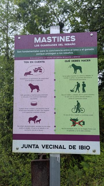 A sign in Spanish stating that livestock guard dogs are in the area protecting them from wolves and how to pass these dogs if you should encounter them. I decided not to encounter them since Paddy is a nervous dog