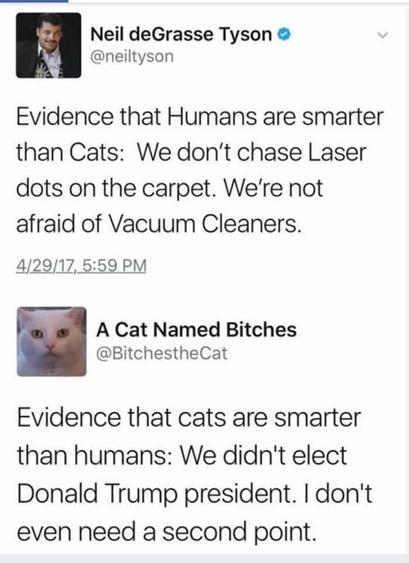 A humorous social media exchange is shown. The first message is from Neil deGrasse Tyson, stating "Evidence that humans are smarter than cats: We don’t chase laser dots on the carpet. We’re not afraid of vacuum cleaners." Below, a response from a user named "A Cat Named Bitches" reads, "Evidence that cats are smarter than humans: We didn't elect Donald Trump president. I don't even need a second point." The messages playfully compare human and cat intelligence.