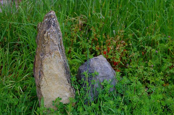 Una alargada piedra de marga y otra más baja y regordeta de caliza, hincadas en una tierra rebosante de incontables hierbas eufóricas en su rebosante adolescencia…