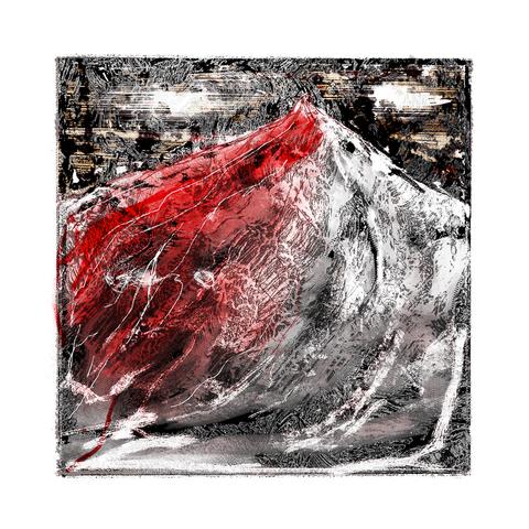 Vincent Dufrène Photographies