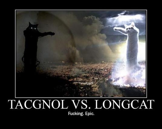 Motivational style poster that says "Tacgnol vs longest. Fucking. Epic."
It has a picture in the middle of two giant long cats, one that looks like an angel (longcat) and the other that looks like a devil (tacgnol)