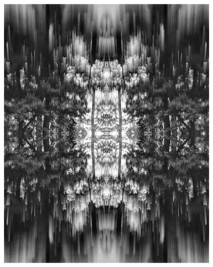 Die Collage zeigt eine abstrakte, symmetrische Darstellung eines Waldes. Durch eine Spiegelung entlang der vertikalen und der horizontalen Achse erscheinen die Bäume und das Licht in der Mitte doppelt, wodurch eine faszinierende und fast surreal anmutende Szene entsteht. Die Bäume wirken unscharf und scheinen sich zu bewegen, was durch vertikale Streifen und verschwommene Konturen verstärkt wird. Die Schwarz-Weiß-Farbgebung verleiht dem Bild eine mystische Atmosphäre.