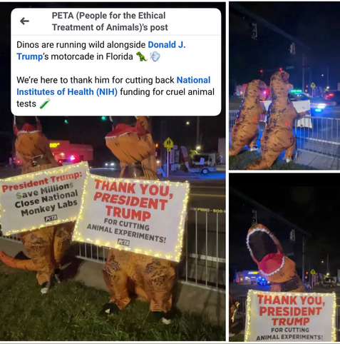 Two people in inflatable T-Rex costumes hold signs thanking Trump. PETA caption reads: “Dinos are running wild alongside Donald J. Trump's motorcade in Florida. We're here to thank him for cutting back National Institutes of Health (NIH) funding for cruel animal tests.”