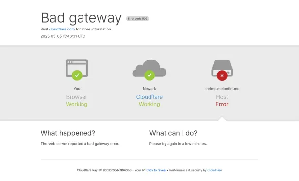 cloudflare bad gateway to my stupid instance