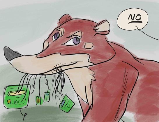 Digital illustration of a coati standing on all fours, holding in his mouth a bunch of loose wires and electronic components and printed circuit boards.  He looks pleased with his haul.  A voice off-screen tells him, 'No.'  The coloring is loose, overrunning the outlines, as it's painted with a simulated watercolor brush.