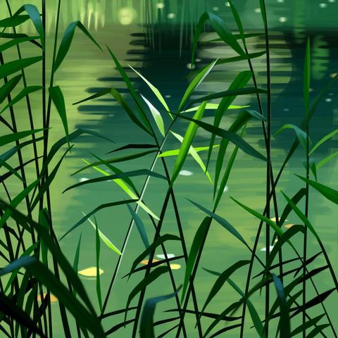 Another digital art study of tall grass before a pond, less realist