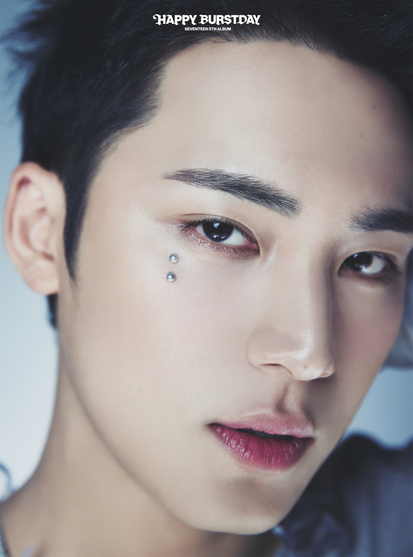 Mingyu - Concept Photo 2 - My New Self