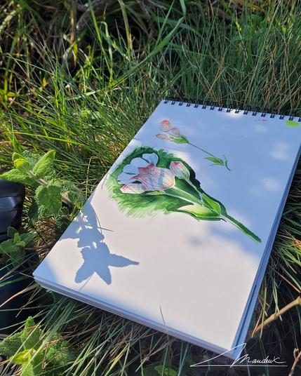 Carnet de croquis représentant une fleur posé dans un pré fleuri.