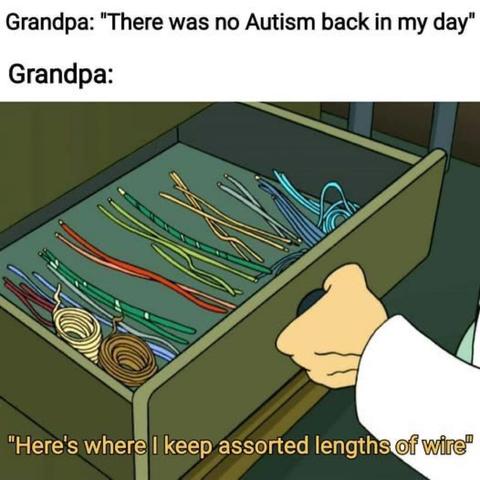 Grandpa: There was no Autism back in my day.

Also Grandpa: Here's where I keep assorted lengths of wire.