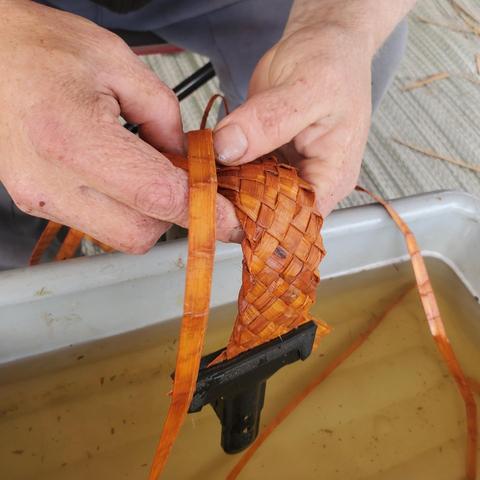 Close-up of a person's hands weaving a basket from pliable strips of natural material that is soaking in a water bath. The tightly woven basket is in progress with the base held secure by a black clip. The surrounding area has visible dried pieces of the weaving material.