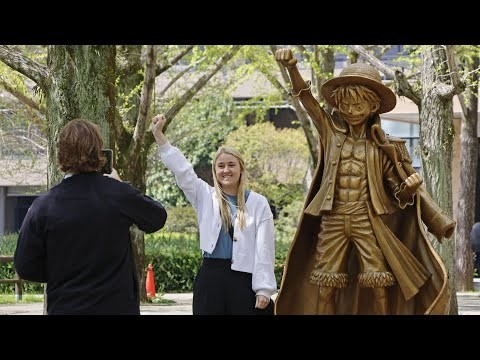 Discover the Magic of One Piece in Kumamoto: A Unique Adventure Tour