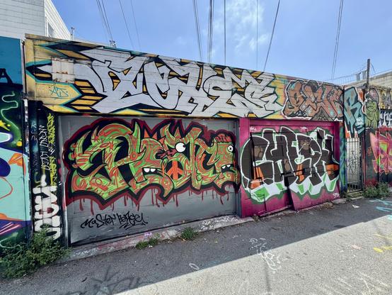 A view of Master Peice's mural from further away. You can see more of the garage door and alleyway in this photo, plus other tags from "Cheph" and "Ribity".