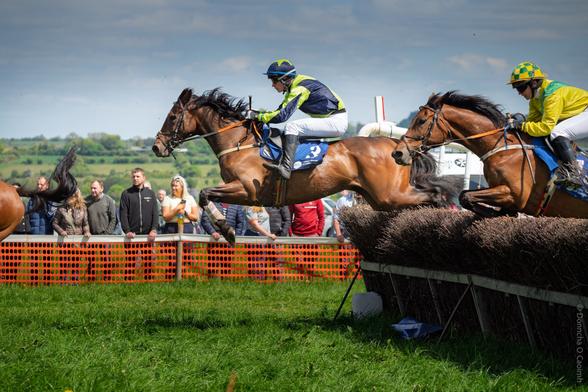 Dynamic image from Dawstown Point to Point in County Cork, capturing two jockeys in navy and yellow, and yellow and green silks as their horses leap over a brush fence, with a crowd of spectators and rolling green countryside in the background.