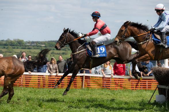 Action photo of a horse race at Dawstown Point to Point in County Cork, showing two jockeys in red and blue silks and white and blue silks riding horses mid-jump over a brush fence, with spectators and orange safety fencing in the background, and another horse visible in the foreground.