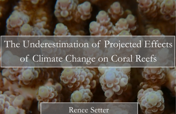Renee Setter's Doctoral Dissertation Title