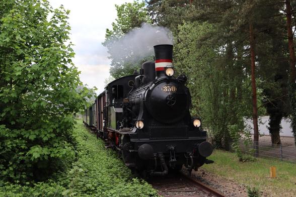 Eine kleine schwarze Dampflok (Nummer 350) fährt mit einigen alten Wagen auf den Betrachter zu. Links und rechts der Strecke sind einige Bäume und Sträucher.
