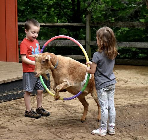 Azure Generated Description:
a couple of children holding a dog (38.99% confidence)
---------------
Azure Generated Tags:
clothing (98.91% confidence)
outdoor (98.63% confidence)
person (97.73% confidence)
toddler (97.46% confidence)
ground (95.91% confidence)
tree (92.94% confidence)
footwear (89.02% confidence)
dog (88.60% confidence)
child (85.32% confidence)
leash (85.13% confidence)
young (81.10% confidence)
standing (71.30% confidence)
holding (71.07% confidence)
boy (64.54% confidence)
girl (62.33% confidence)
playing (44.23% confidence)