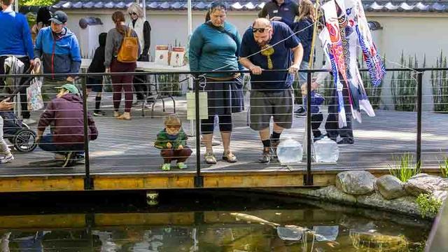 Ashland celebrates Japanese Children’s Day with fun and spring sunshine - Ashland News