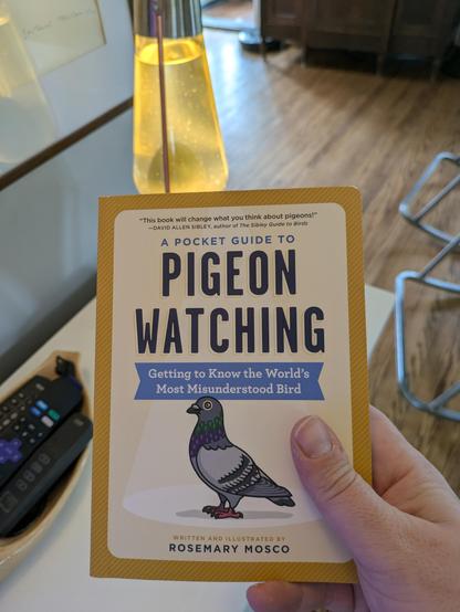 A hand holding the book A Pocket Guide to Pigeon Watching by Rosemary Moscow. A lava lamp is in the background