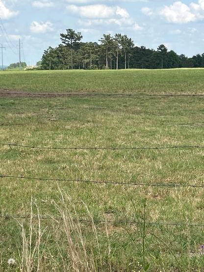 Dry field in Chilton County, Alabama, April 29, 2025.