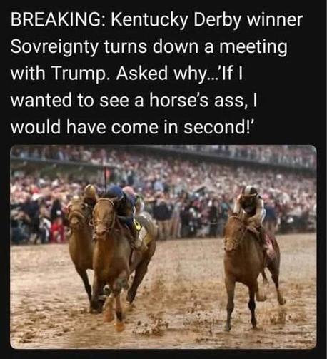 Pic of three horses racing at the Kentucky Derby. The caption reads..

BREAKING: Kentucky Derby winner Sovreignty turns down a meeting with Trump. Asked why..."If I wanted to see a horse's ass, I would have come in second!"