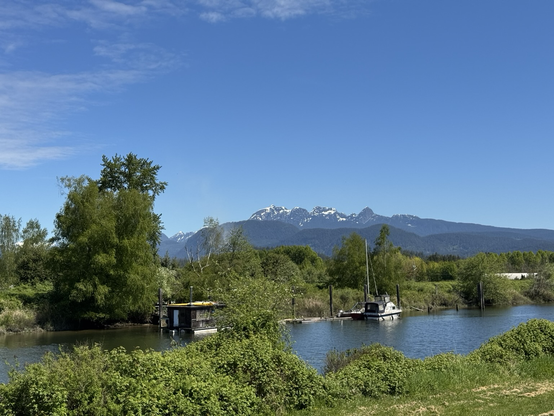 Looking over a river to mountains in the distance. There is a boat in the river & green trees beside the shore. The sky is blue & there is a bit of snow at the top of the mountains.