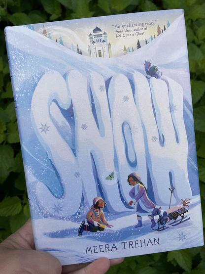 Snow
Meera Trehan
Walker Books US
Publication date : January 14, 2025
📔 320 pages, Hardcover
