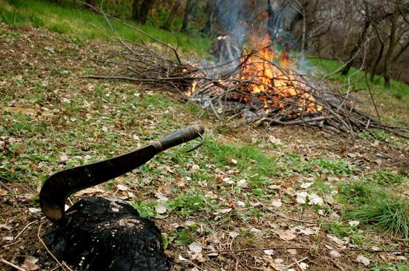 A hatchet settled into a stump, with a burn pile in the background