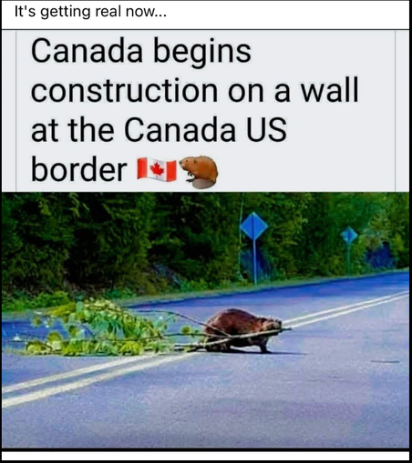 Meme - beaver carrying a large branch across a road.  Reads - "Canada begins construction on a wall at the Canada US border"