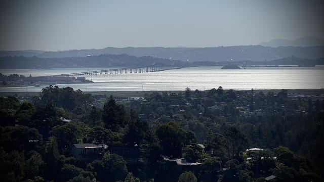 The San Rafeal Bridge as seen from the Blithedale Summit Open Space Preserve