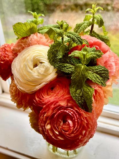 A vibrant bouquet featuring lush ranunculus flowers in shades of orange and white, complemented by fresh mint leaves. The arrangement is placed near a window with a blurred outdoor background.