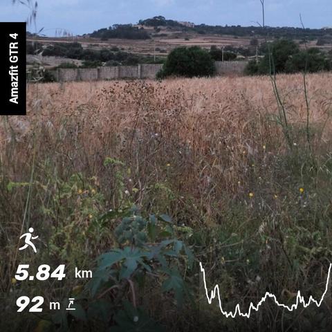 Looking at Wardija hill from the Southern end of St Paul's Bay. Almost ready to harvest, ears of wheat are gently pulled in the wind in the foreground, while the first of the.double peaked Wardija Hill climbs up towards the pale blue early morning pre sunrise sky. Data imprinted on the image shows Amazfit GTR4
Distance 5.84 km
Elevation gain 92m
And a little graph that essentially shows a flat route that starts with a downhill section out and a gentle climb back home, with a flattish middle.