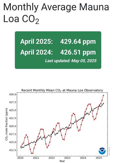 April 2025: 429.64 ppm.
April 2024: 426.51 ppm
With graph of underlying increase from 413 ppm begin 2020 to 427 ppm now.