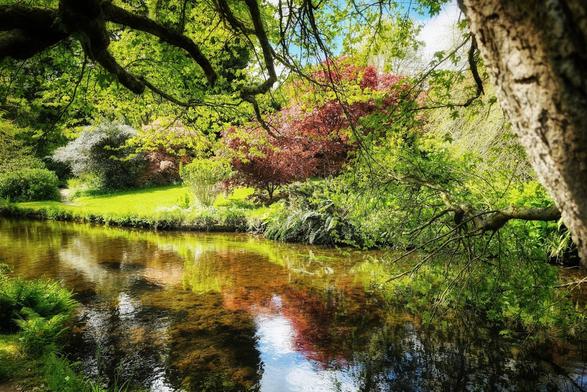 A serene landscape featuring a calm river reflecting trees with vibrant green and red foliage, framed by a tree trunk in the foreground.