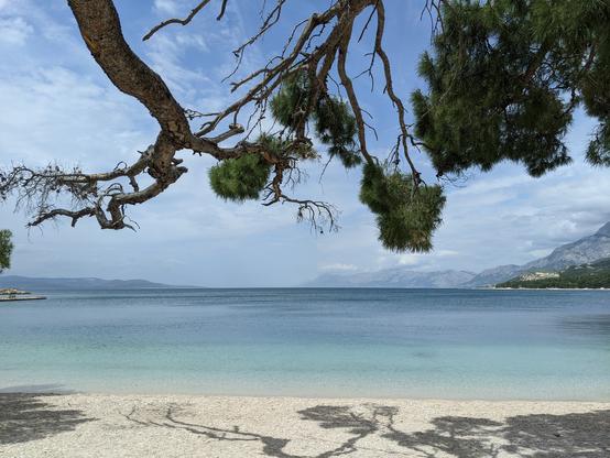 Dalmatian beautiful pebble coast with turquoise water
