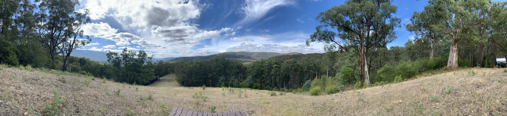 A field at Buddha Bodhinyana Monestery.