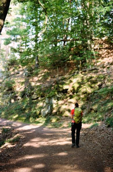 Colored picture of a hiker walking on a forest trail. There is shadows and holed of light. The picture is shot is portrait abd thé background is out of focus with swirling bokeh.