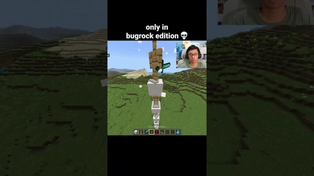 Minecraft Armor Stand Moment