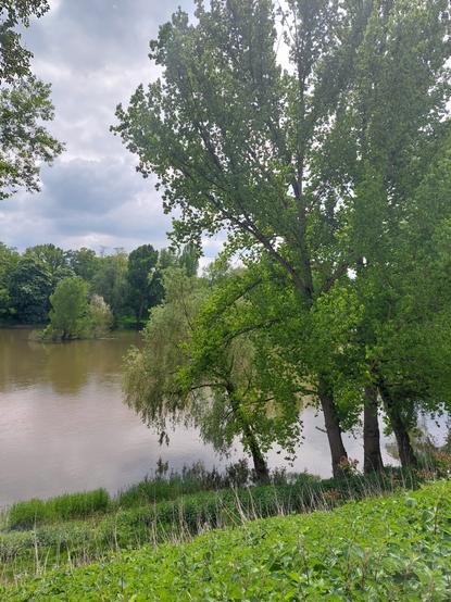 paysage nuageux et arboré de Loire en avril