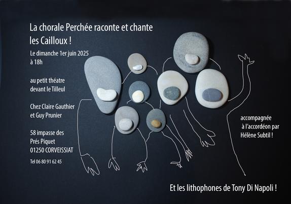 Affiche. Sur fond noir une petite chorale est représentée : visages en galets (un pour la tête et un plus petit pour la bouche), le haut du corps est un simple trait au crayon blanc. La chorale perchée raconte et chante les cailloux, etc.